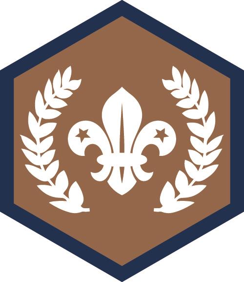 Chief Scouts Bronze Award
